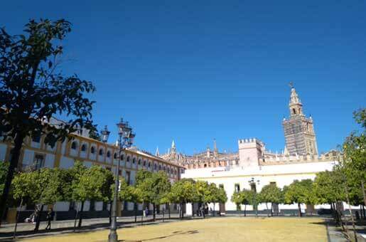 Tour en bici  Sevilla Tour en bici  Sevilla